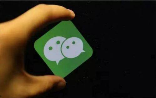 八卦网红吃瓜小程序